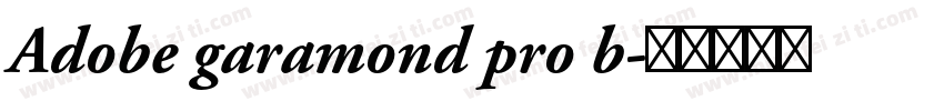 Adobe garamond pro b字体转换